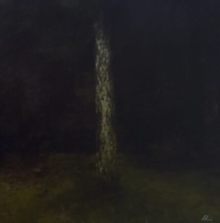 The tree and the night (SOLD)