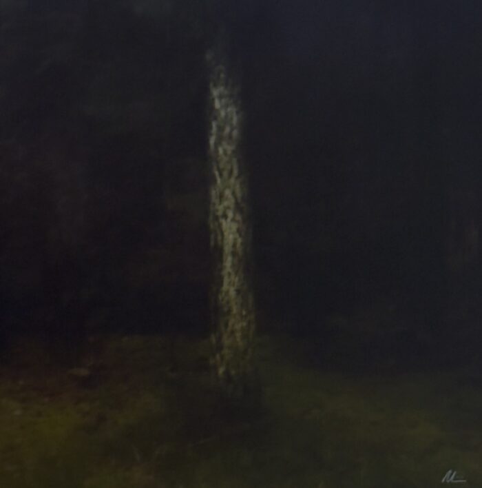 The tree and the night (SOLD)