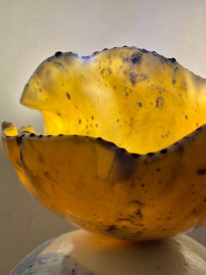 Jelly Fish - Image 3