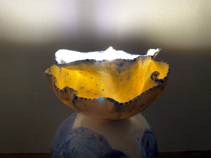 Jelly Fish - Image 5