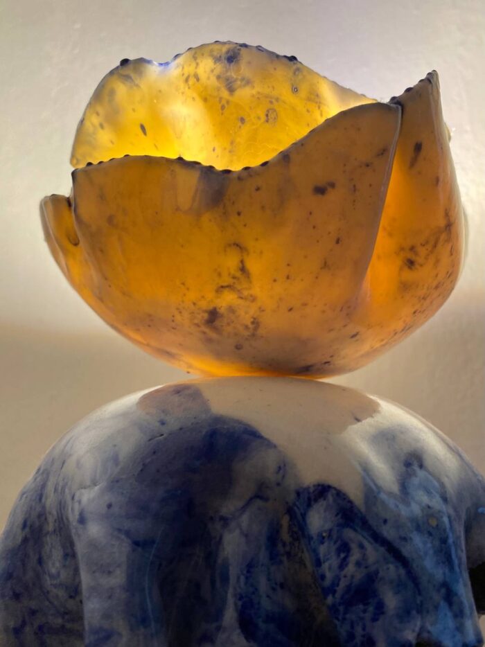 Jelly Fish - Image 4